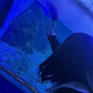 こんばんは🎶 ろるです！