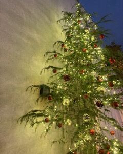 おはようございます☀あやこです