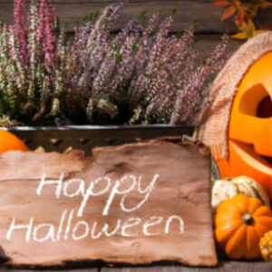 🎃ハロウィン限定イベントについて🎃