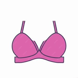 今日は『ブラジャー』の日、ブラジャーってたまらんじゃー!