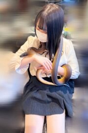 すい