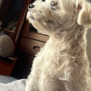 翡翠ちゃんおはようしました